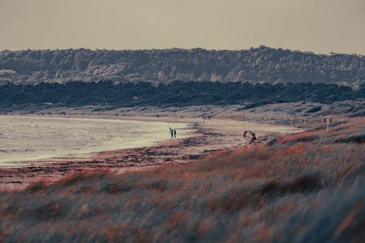 Serene beach scene with lifebuoys and distant silhouettes under a twilight sky.