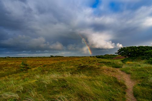 Free A serene rural scene featuring a vivid rainbow amidst dramatic storm clouds over a grassy field. Stock Photo