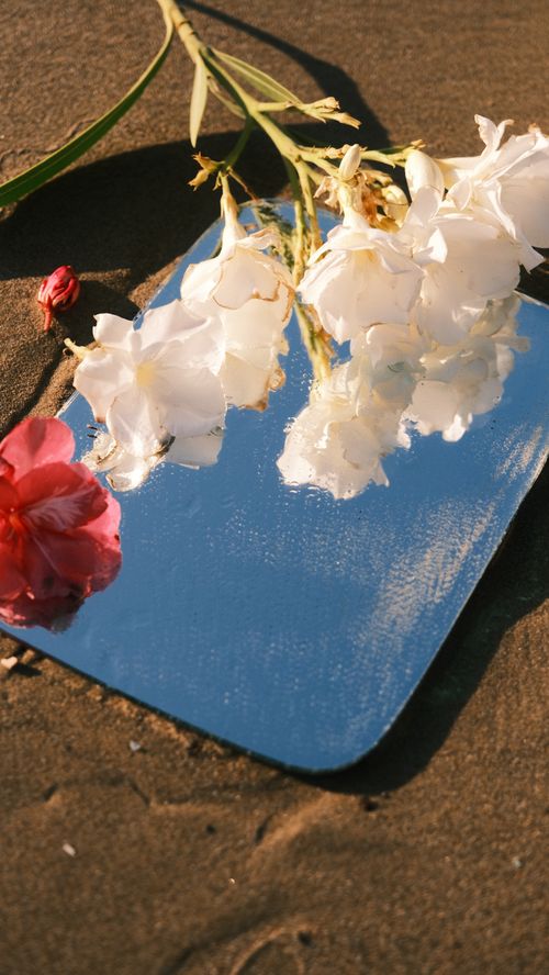 Free Creative display of white and red flowers reflected in a mirror on sandy beach. Stock Photo