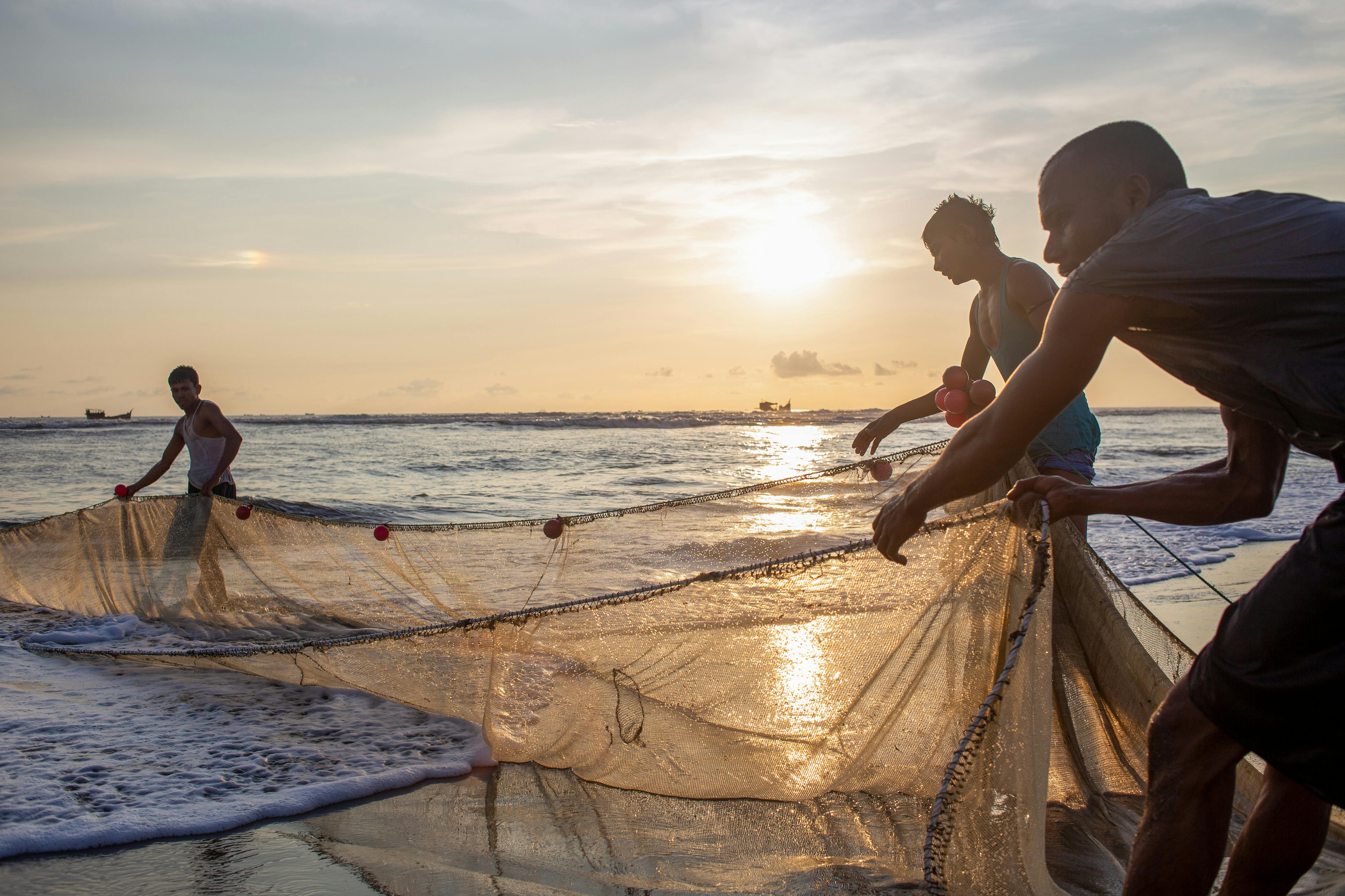 Men working together pulling a fishing net from the sea at sunset, showcasing teamwork and coastal life.