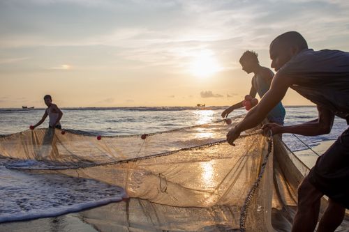 Free Men working together pulling a fishing net from the sea at sunset, showcasing teamwork and coastal life. Stock Photo