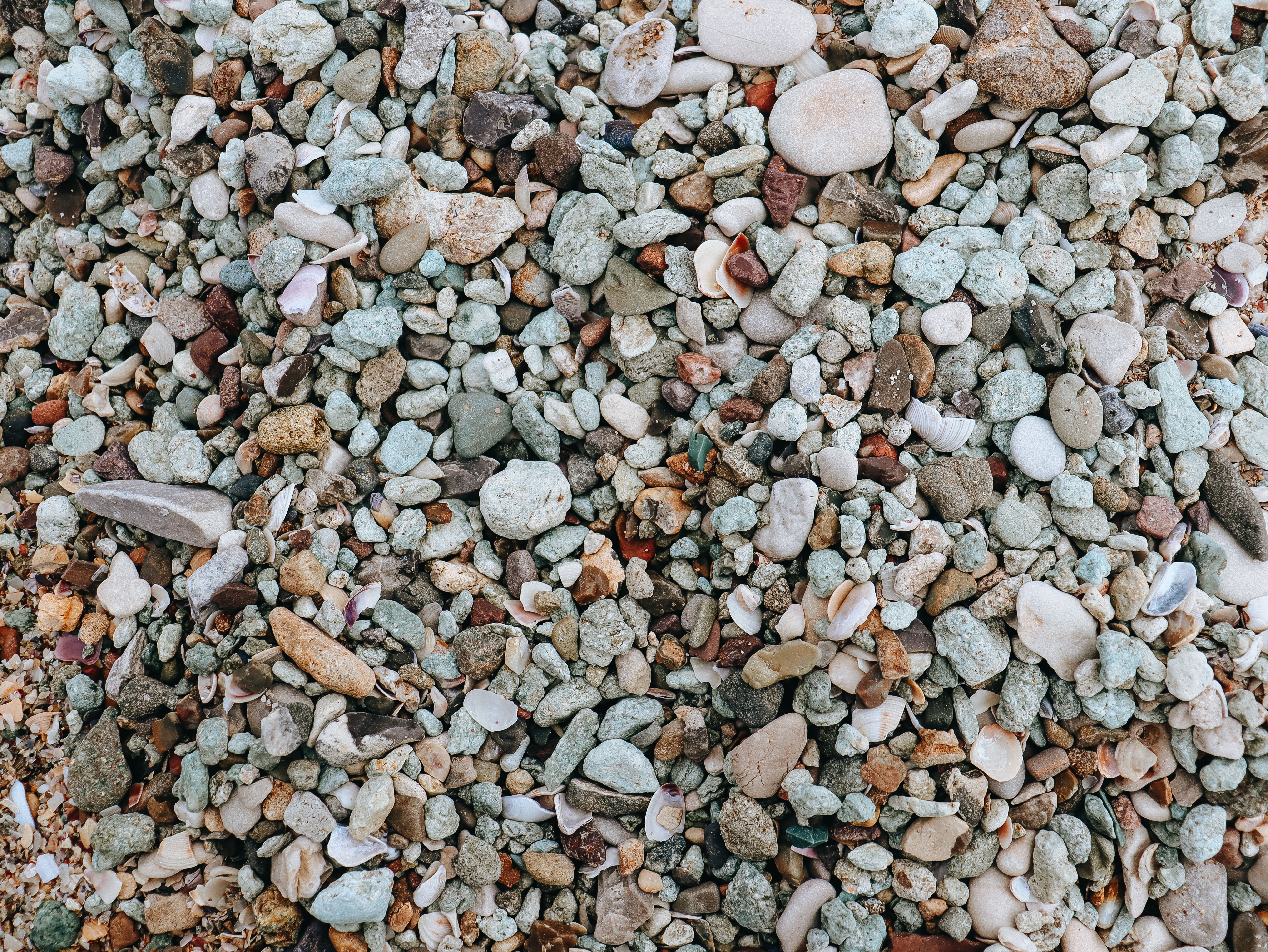 Close-up of Pebbles on the Beach · Free Stock Photo