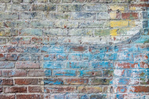 Foto profissional grátis de graffiti, ladrilho, parede de ladrilhos