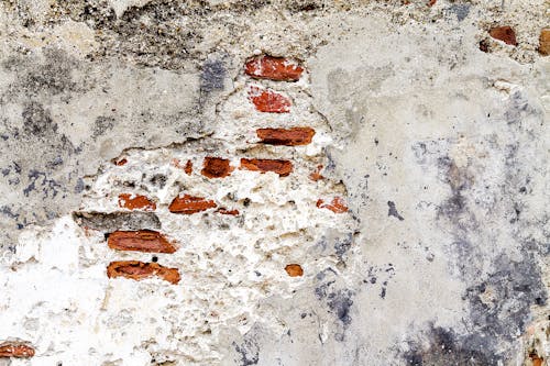 Foto profissional grátis de ladrilho, parede de ladrilhos, textura de ladrilhos