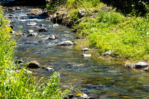 Free A clear stream with rocks and greenery on a sunny day, offering a tranquil nature scene. Stock Photo
