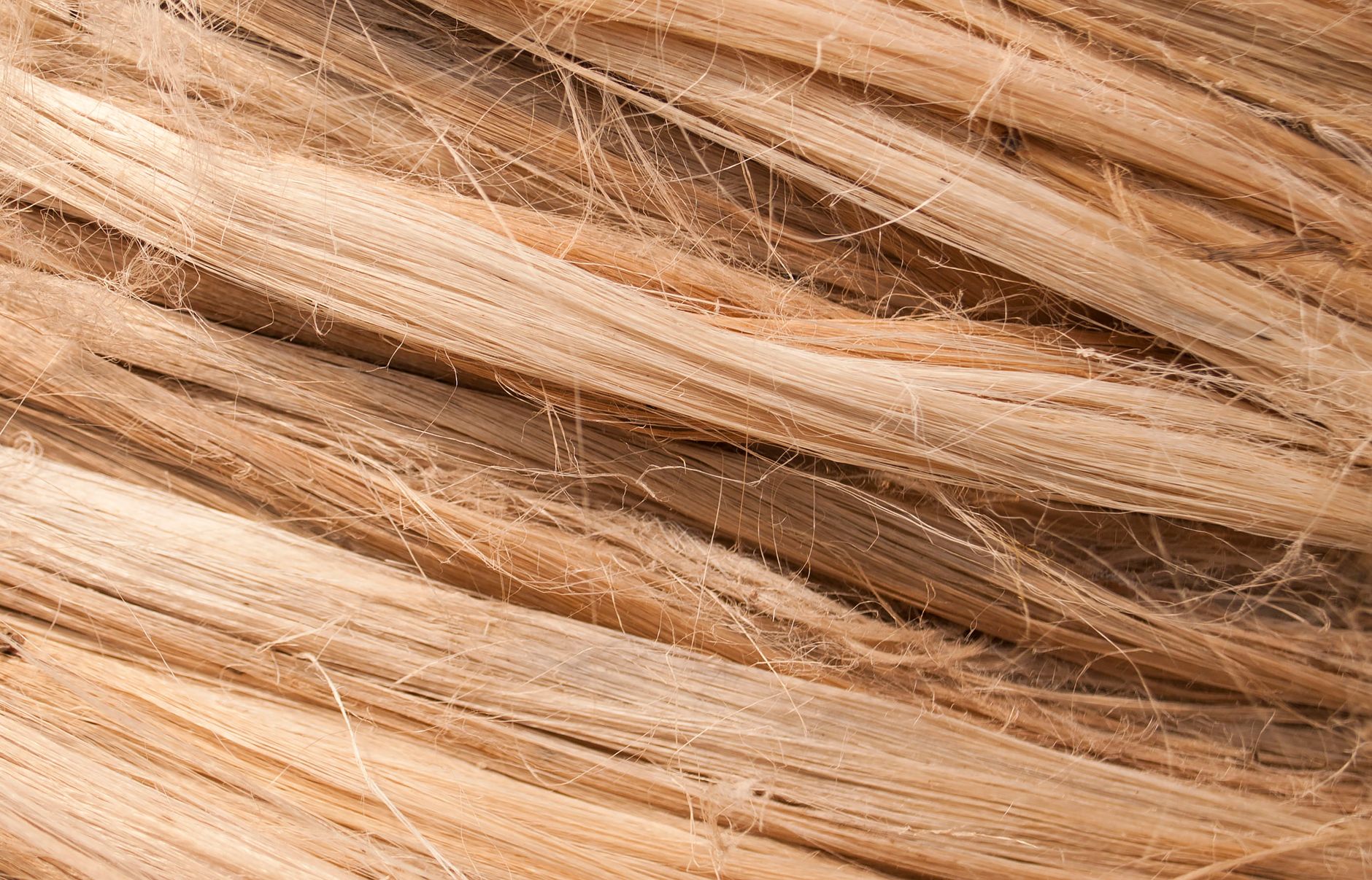 microscopic view of wool fibre scales in closed vs. opened state