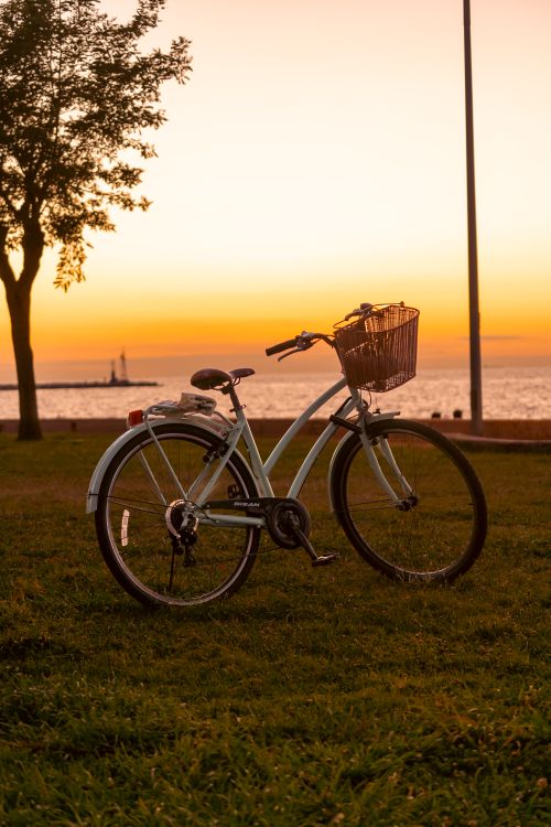 Free A vintage bicycle rests on a grassy lawn against a stunning Yalova sunset and seascape. Stock Photo