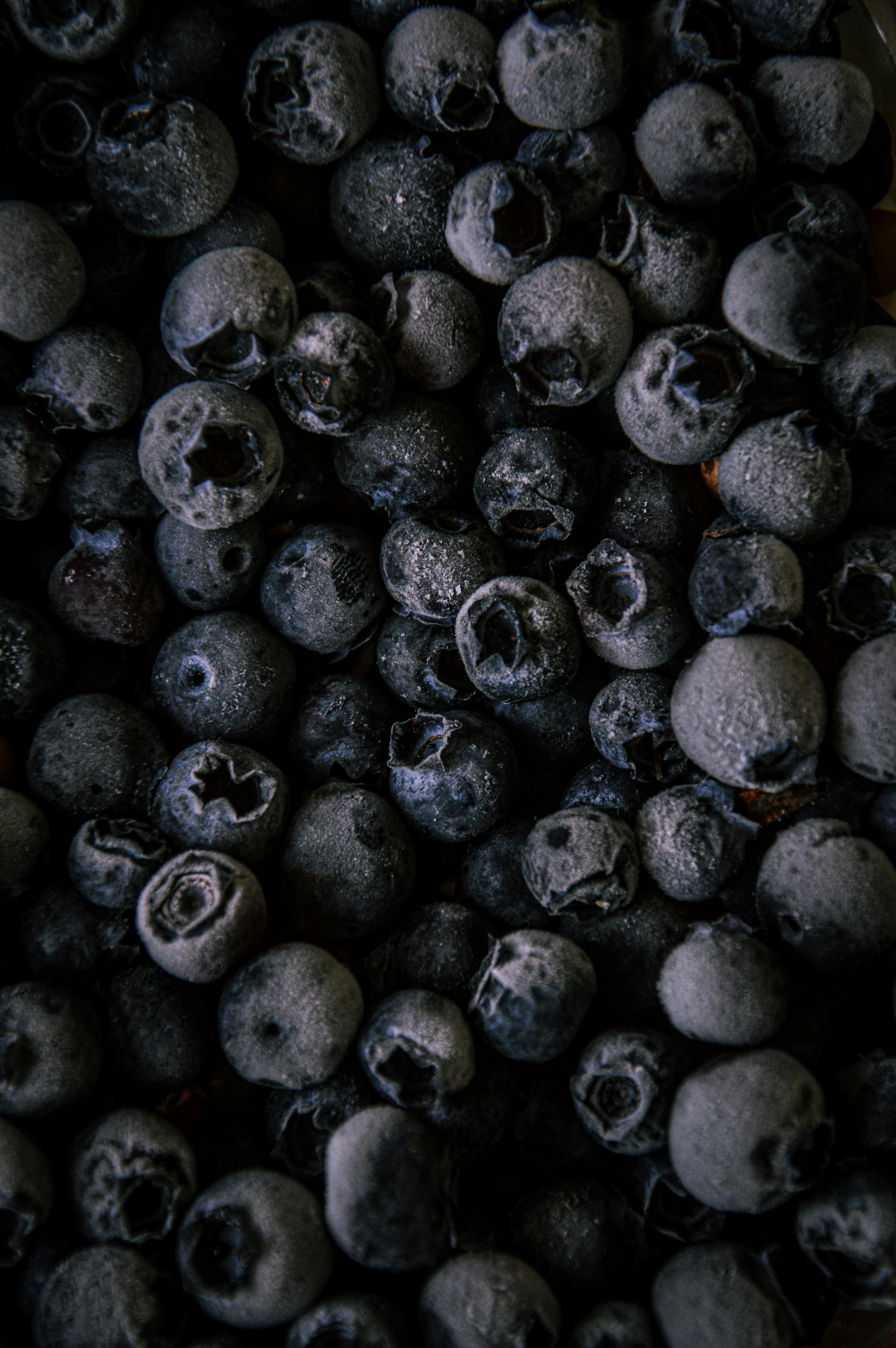 Detailed close-up of ripe blueberries showcasing their texture and freshness.