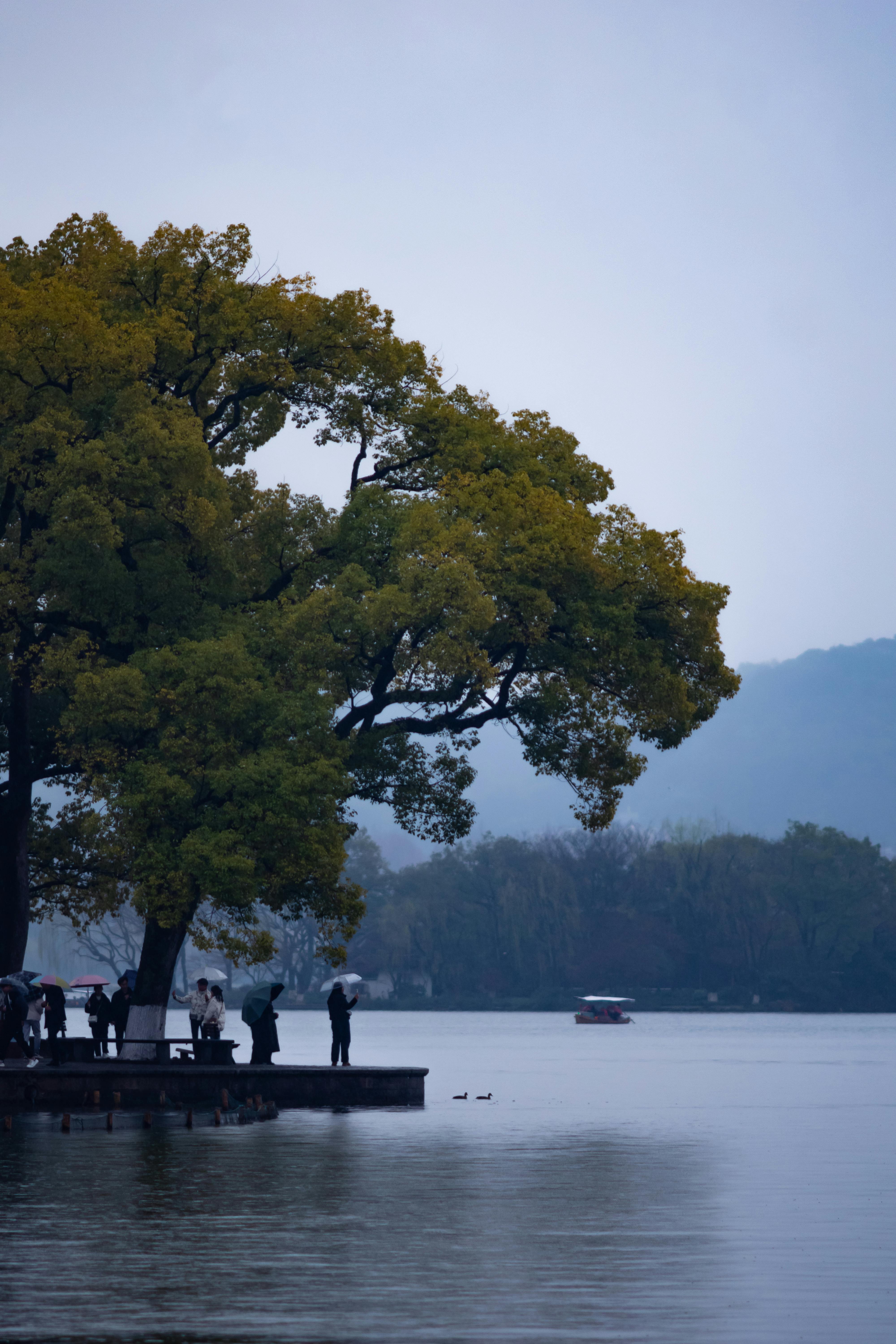 Peaceful lake with people and large tree on a cloudy day, ideal for calm and serene themes.