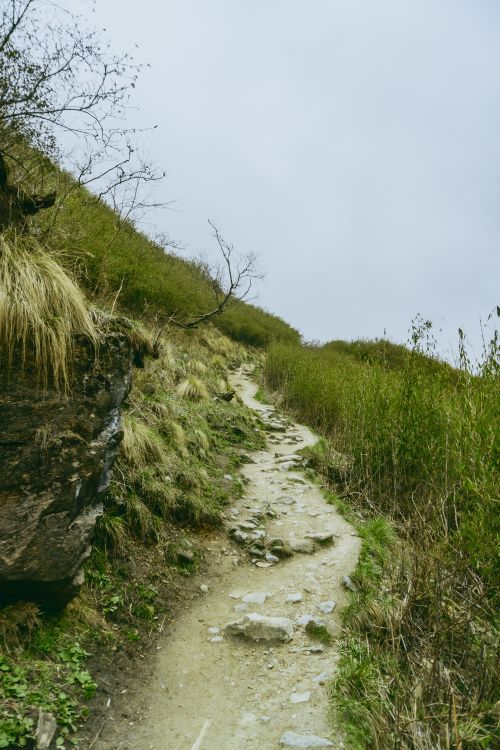Free A picturesque dirt trail winds through lush green countryside, offering a serene hiking experience. Stock Photo