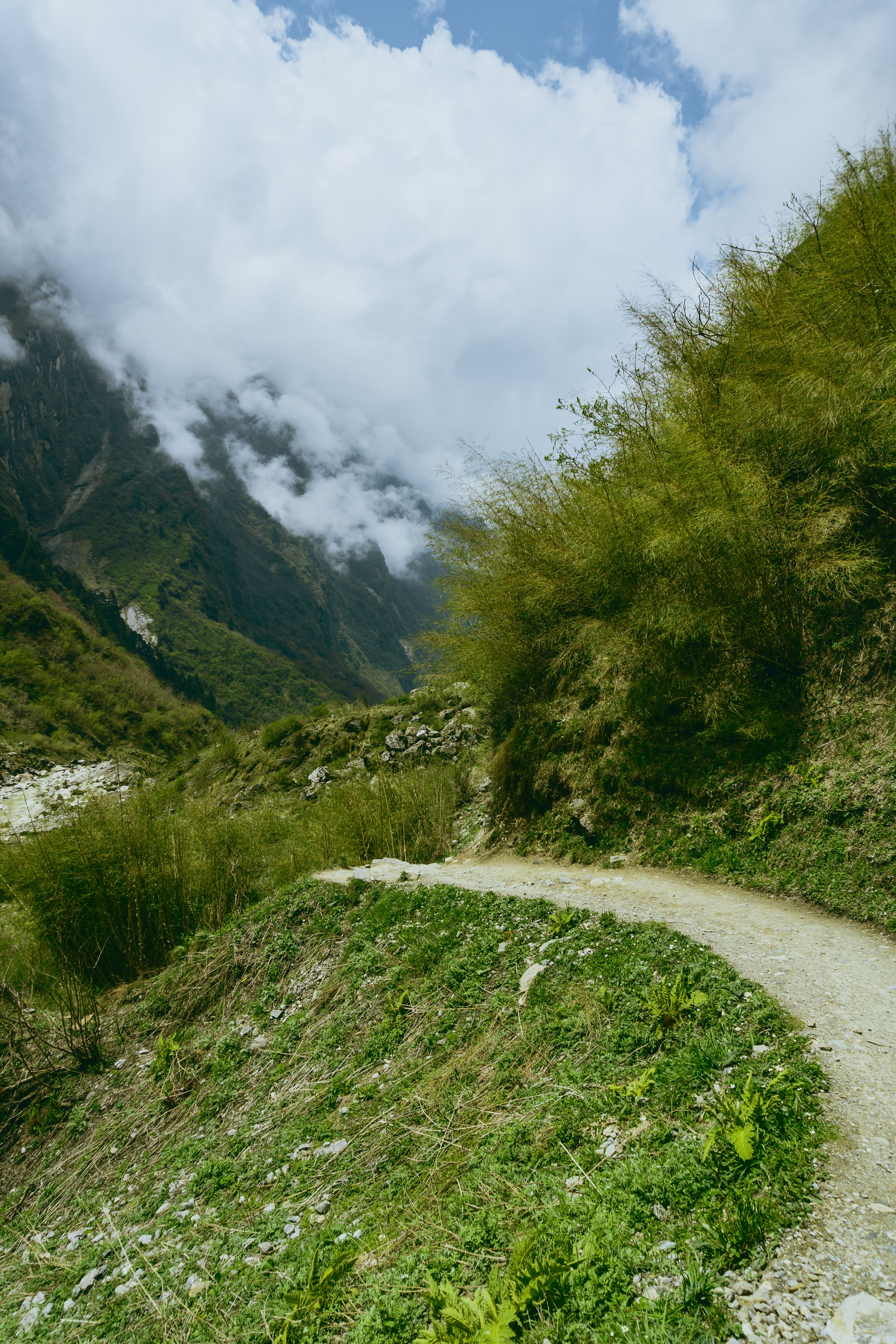 Footpath in Grassy Valley in Mountains · Free Stock Photo