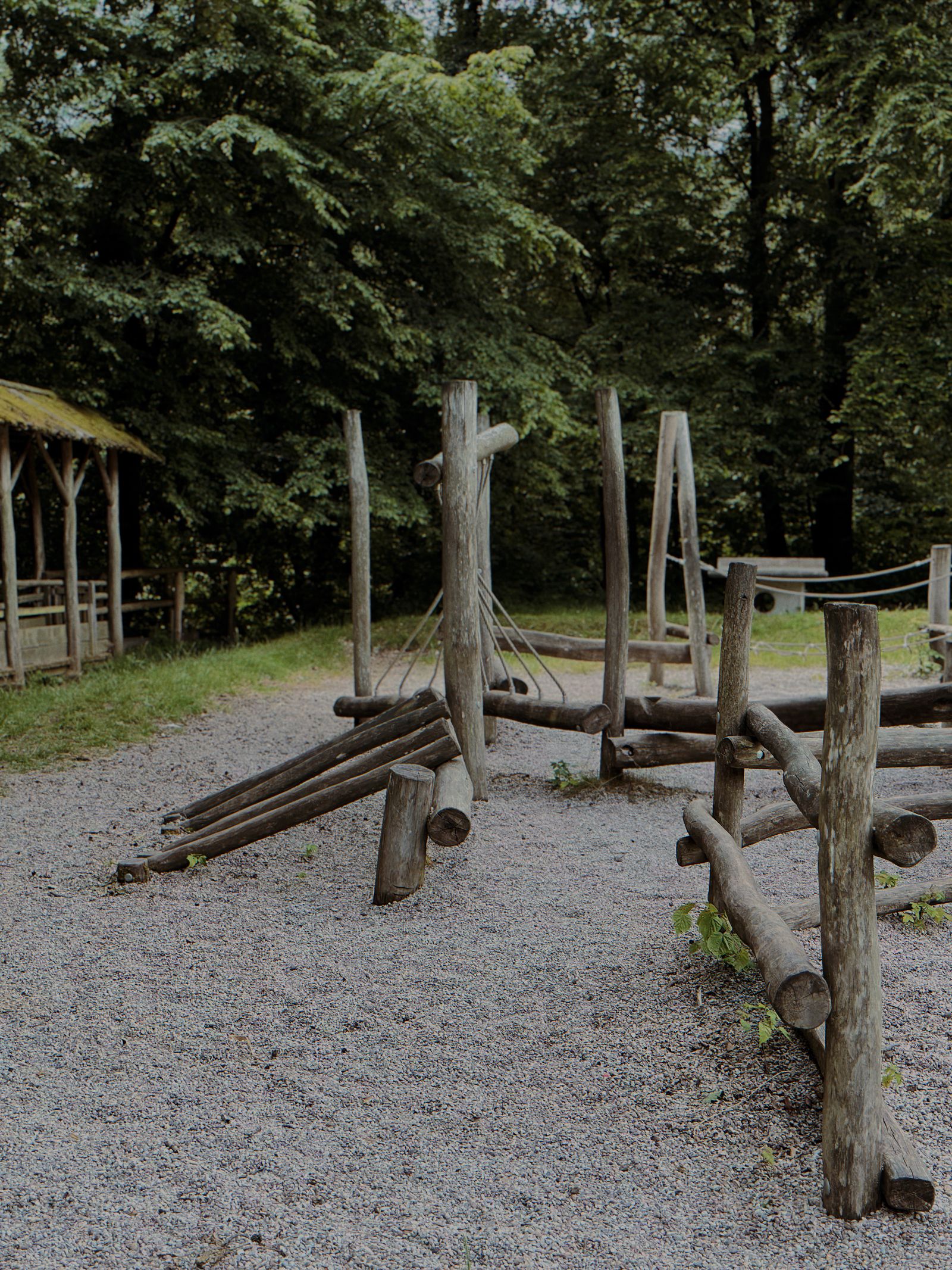 Wooden log playground in the forest