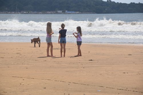 Free Summer in Sri Lanka Stock Photo