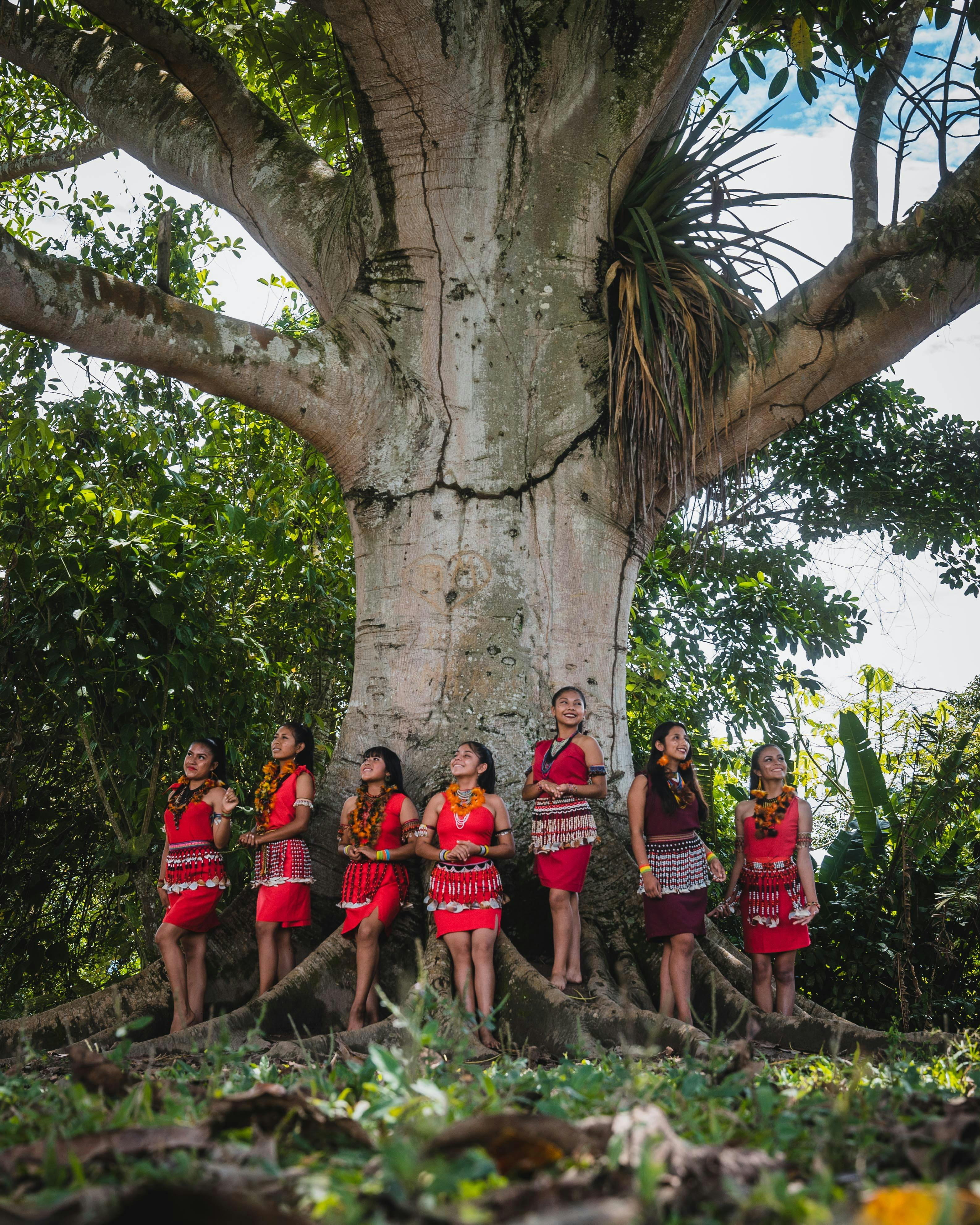 Free A group of indigenous women in traditional clothing standing by a large tree in a forest setting. Stock Photo