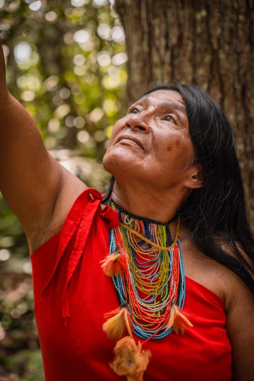 Free Portrait of an indigenous woman in San Martín, Peru, wearing traditional clothing and jewelry. Stock Photo