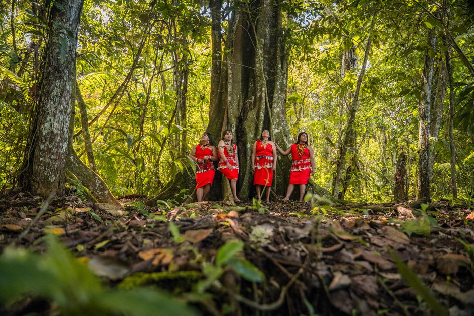 wisata budaya Dayak yang jarang diketahui wisatawan
