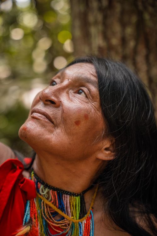 Free Close-up of an Indigenous person wearing traditional attire in San Martín, Peru. Stock Photo