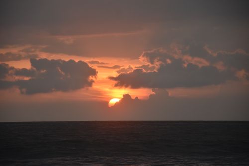 Free Sun set and animal clouds Stock Photo