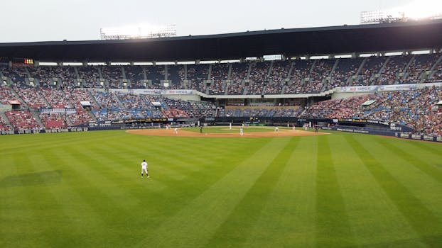 Free stock photo of people, field, grass, crowd