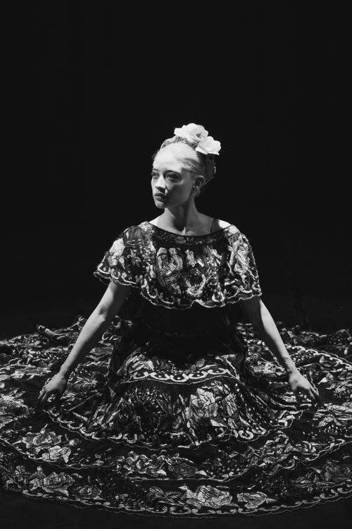 Free Elegant portrait of a woman in traditional Tehuana dress sitting against a dark background. Stock Photo