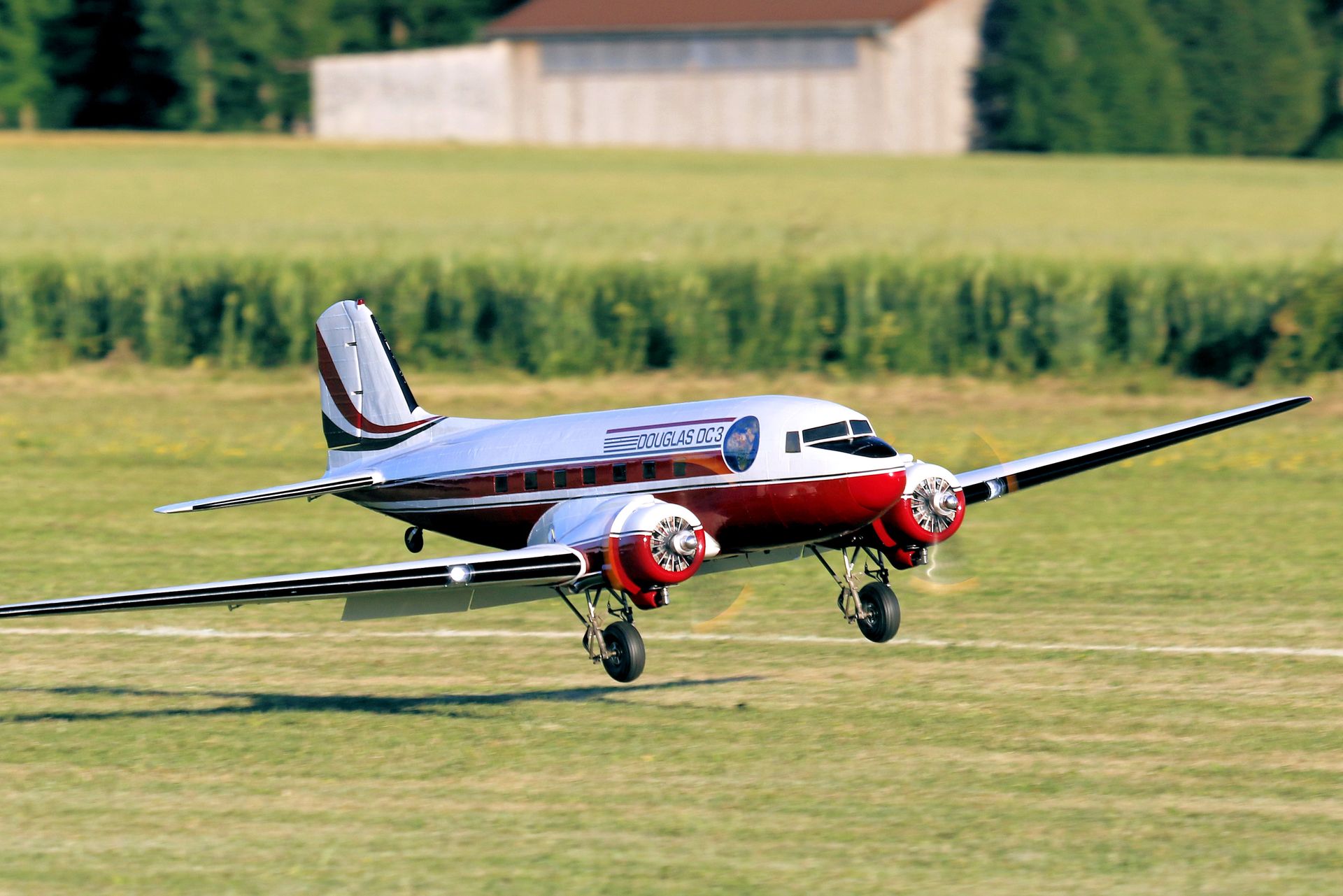 Large Radio Controlled Model of an Airplane Landing on a Field