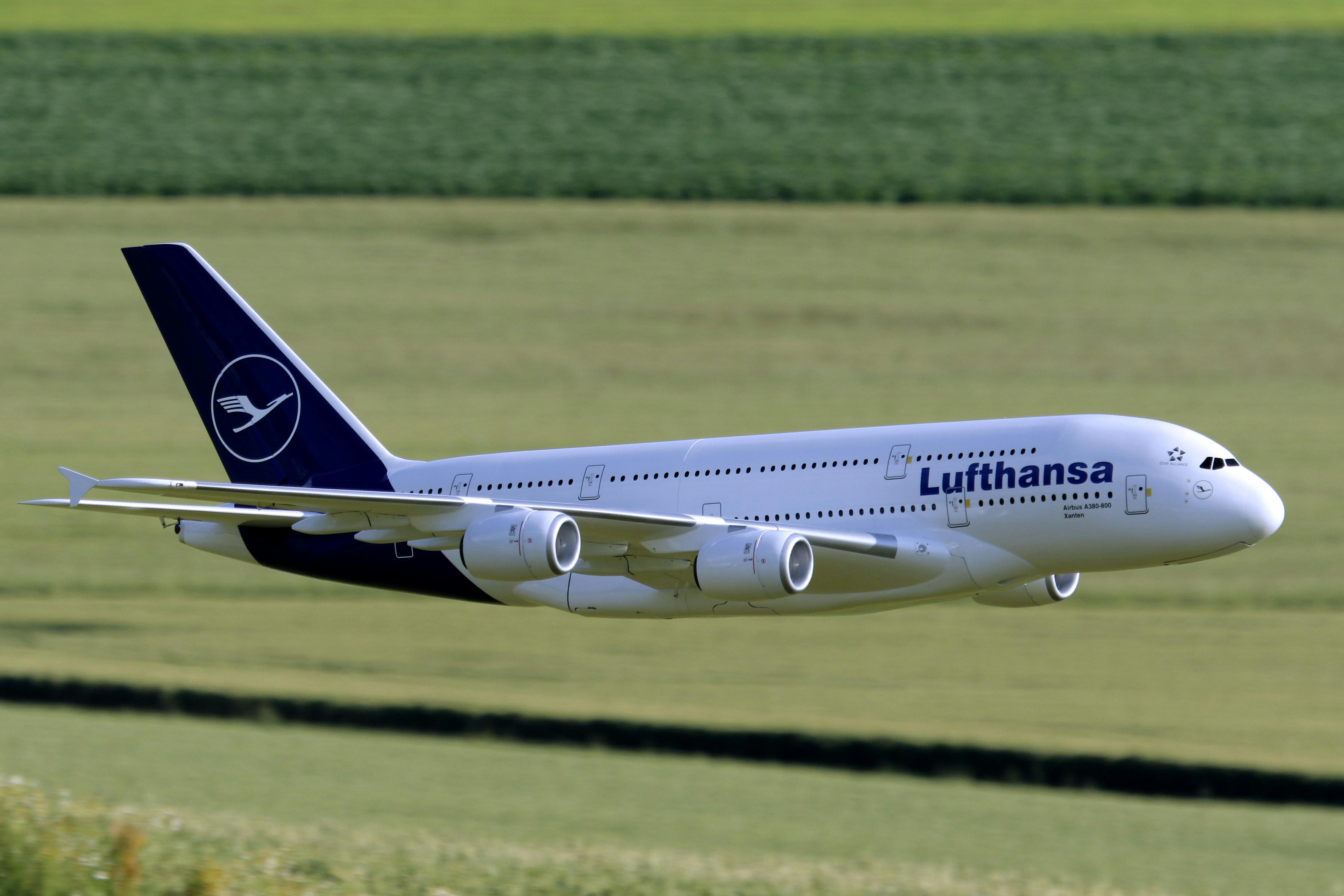 Large Radio Controlled Model of a Commercial Airplane Landing on a Field