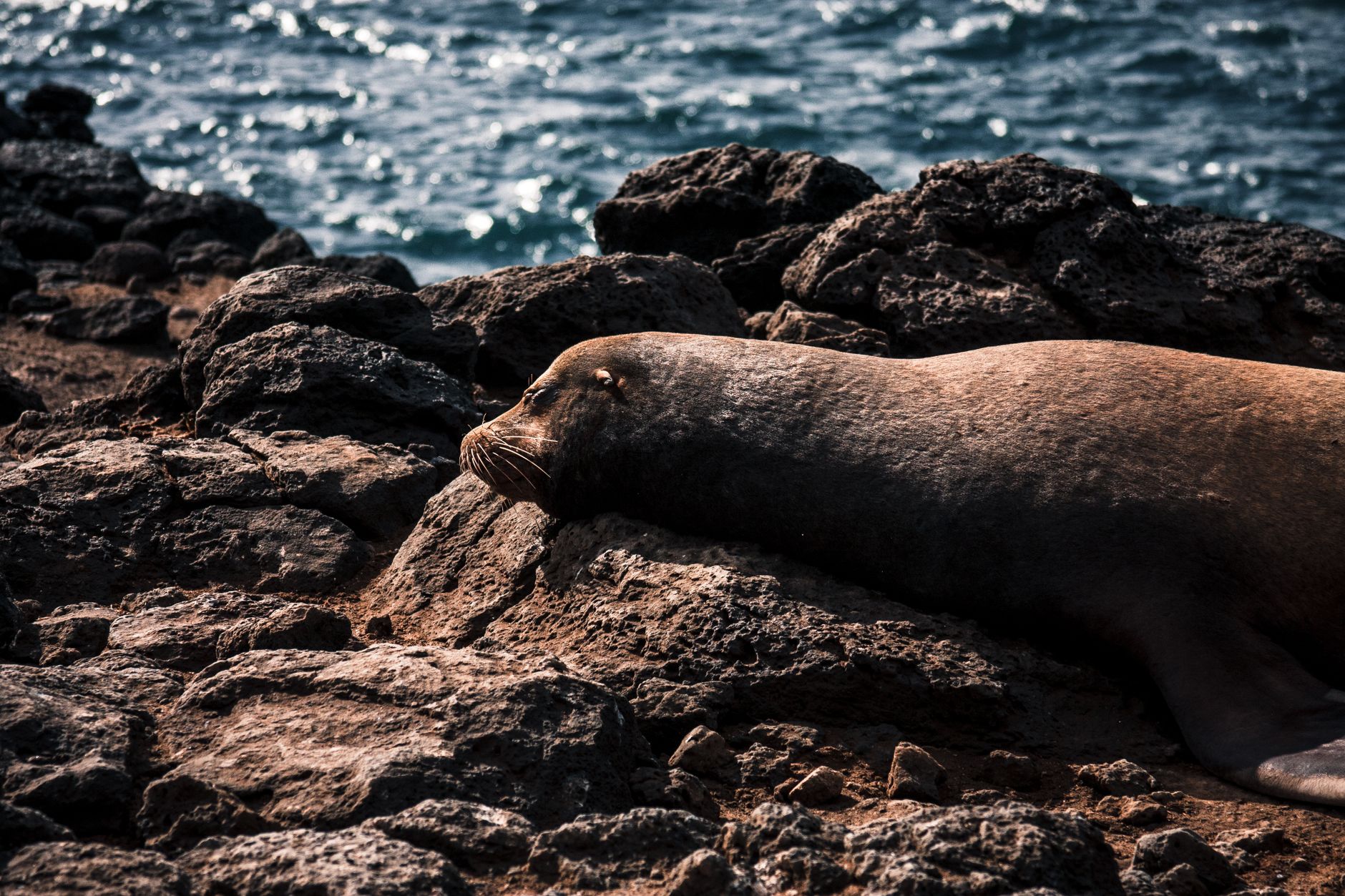 Galapagos National Park