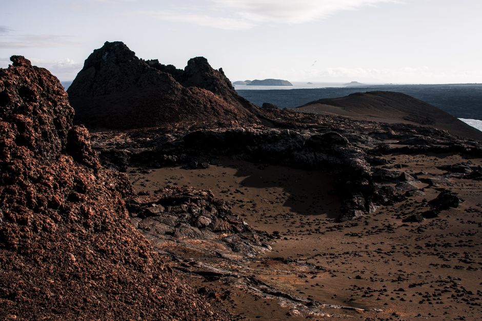 Snorkeling à Bartolomé Island avec observation des manchots des Galápagos