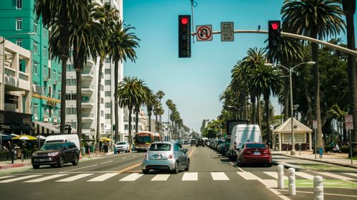 Free City street with cars, palm trees, and traffic signals on a sunny day. Stock Photo