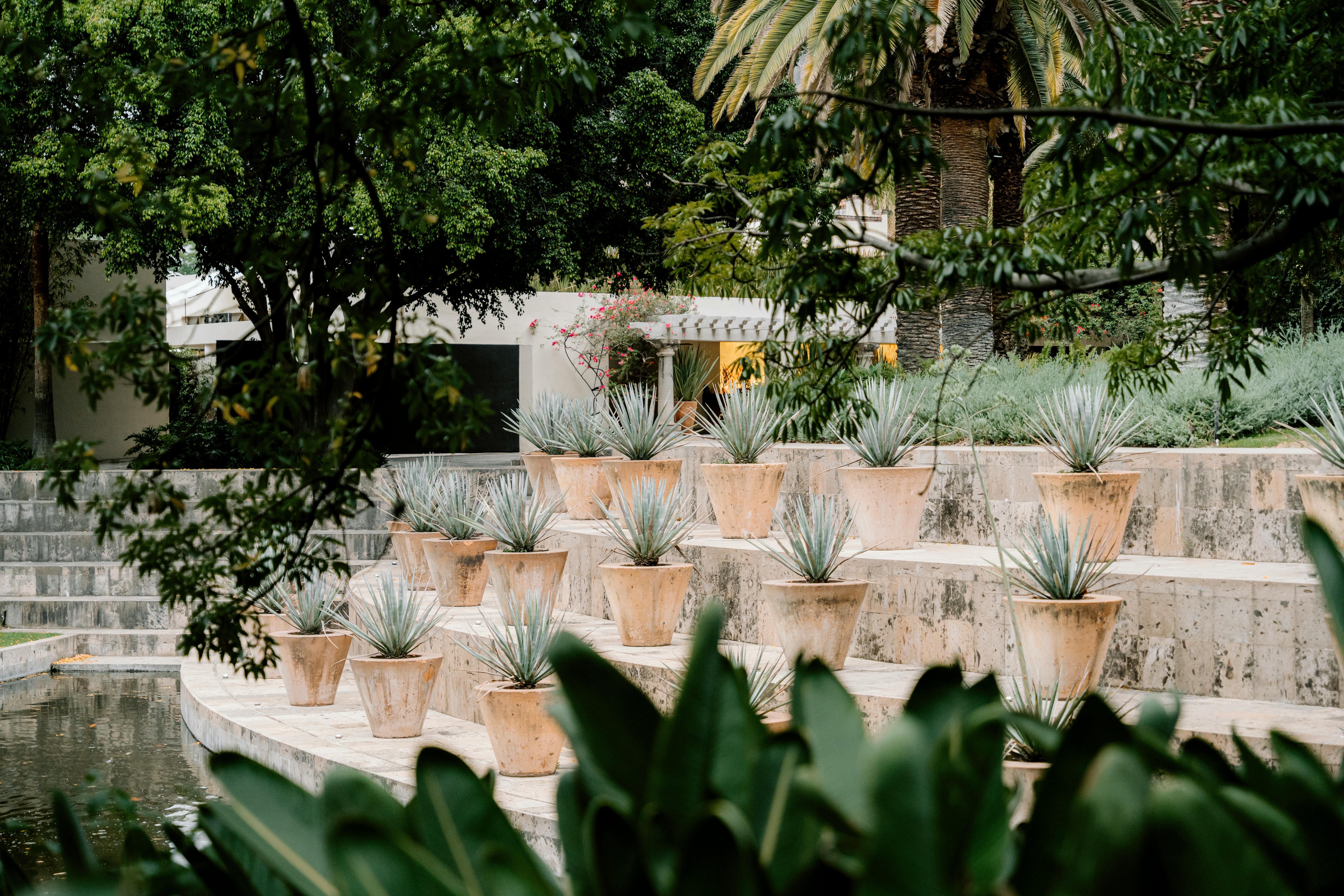 A tiered plant stand featuring a variety of textures and heights - indoor plant arrangements ideas