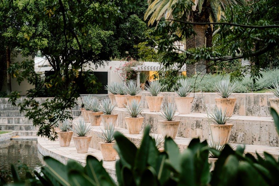 A tiered plant stand featuring a variety of textures and heights - indoor plant arrangements ideas A tiered plant stand featuring a variety of textures and heights - indoor plant arrangements ideas