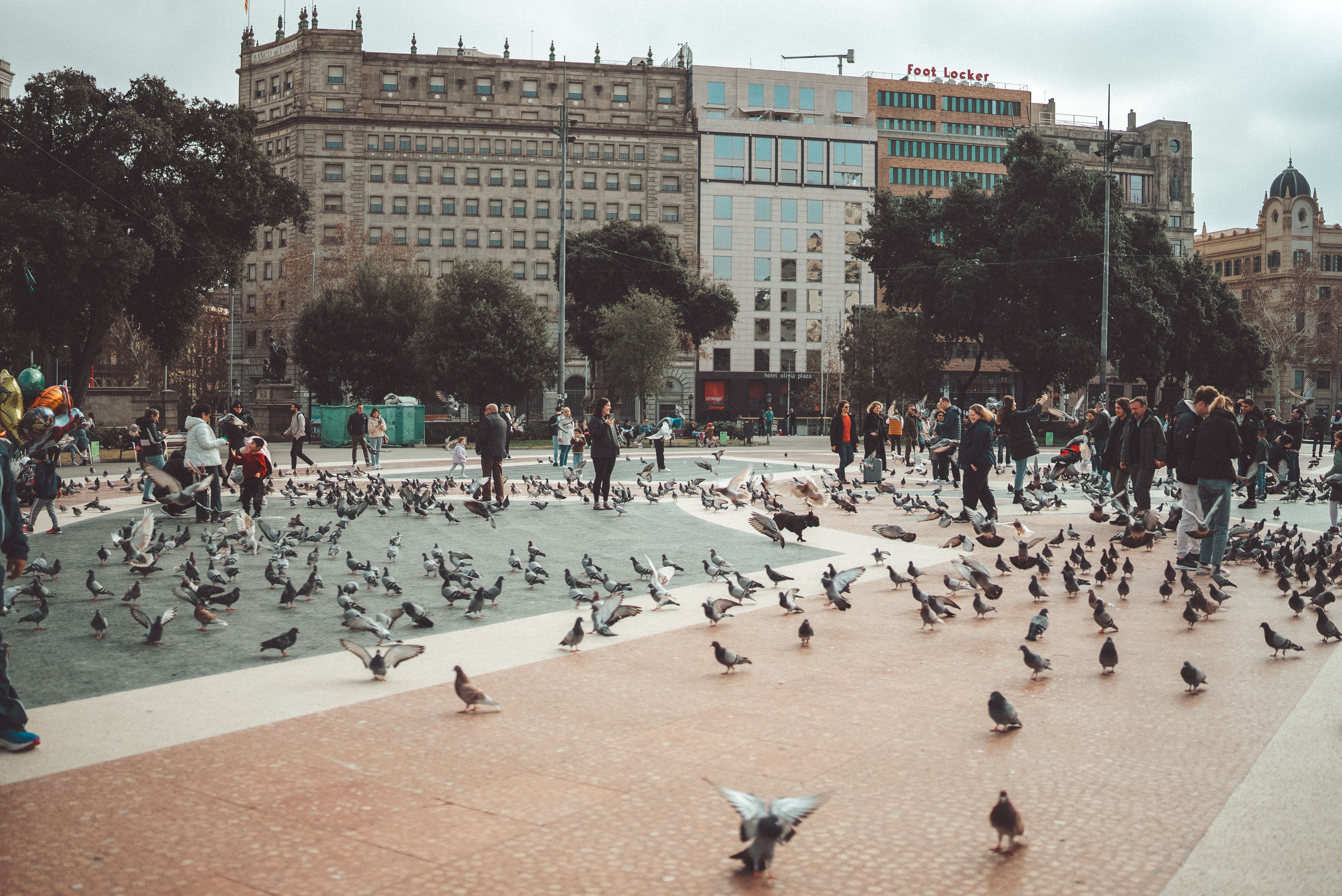 Plaça de la Verge