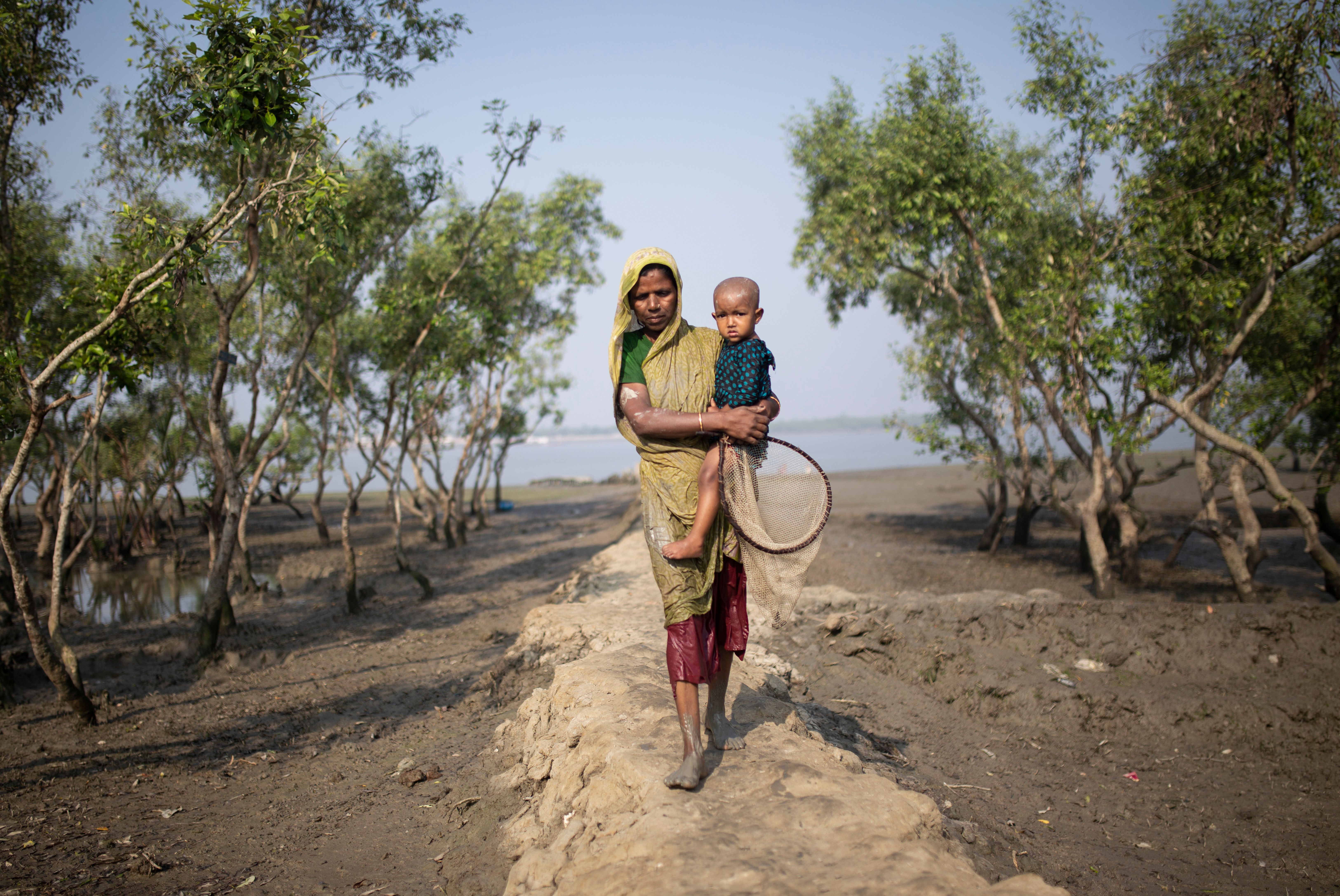 Sundarbans National Park 2