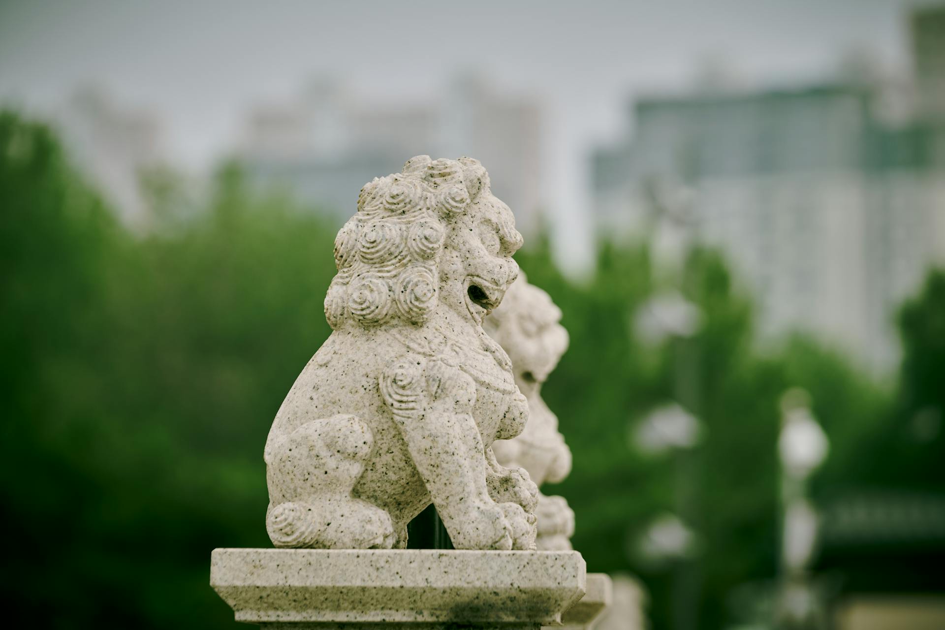 Close-up of a stone guardian lion statue with blurred urban buildings in the background.