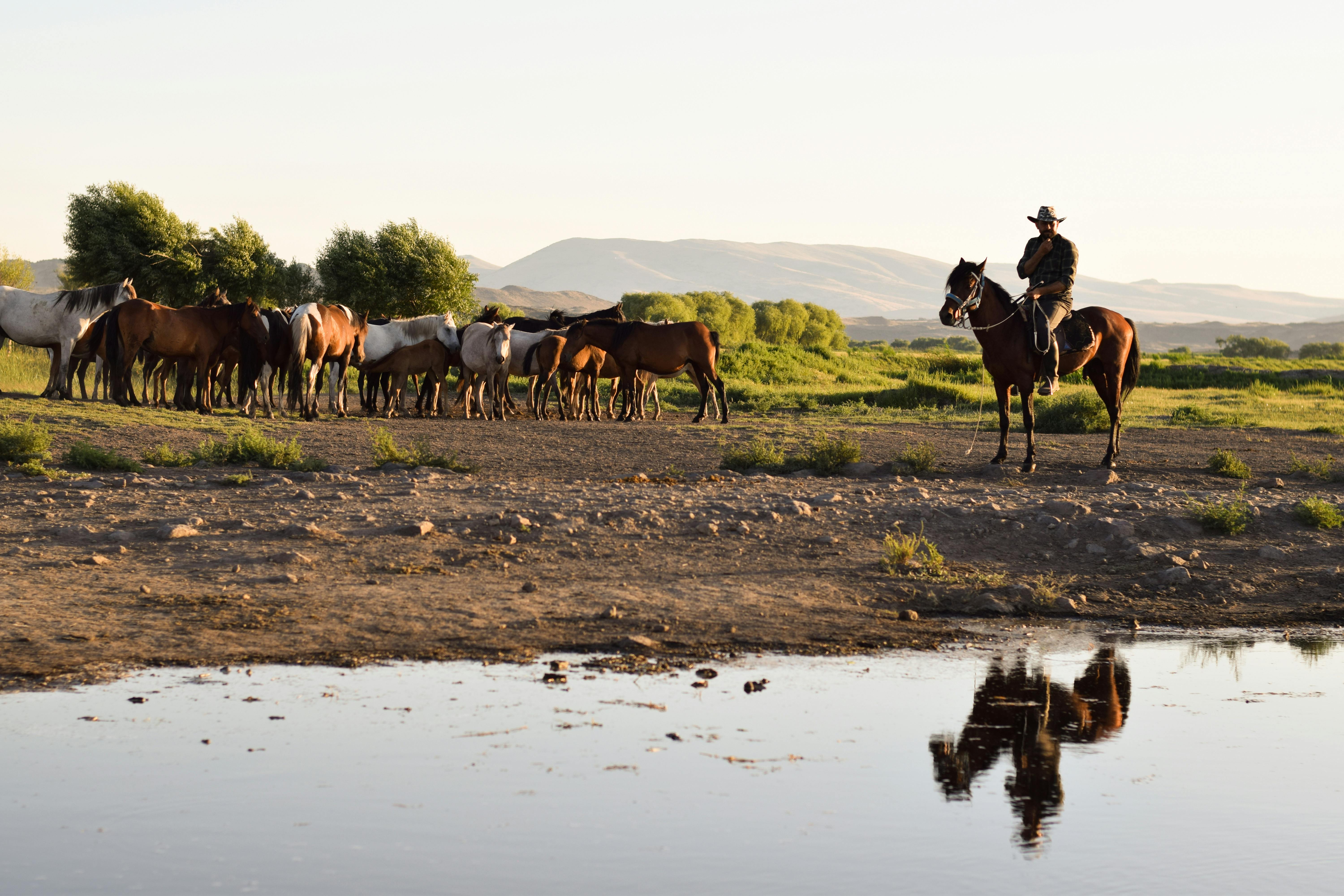 Türkiye’s population prefers Western lifestyle, survey shows — Photo by Fatma Çakır on Pexels
