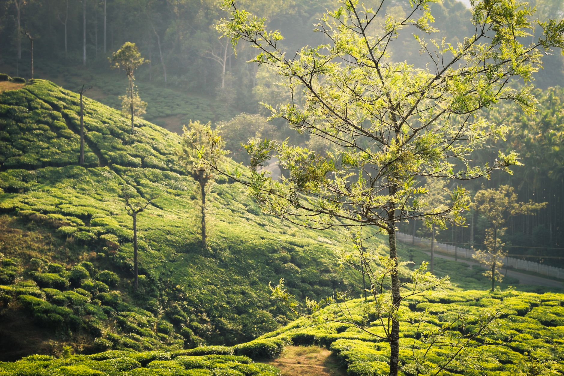Karnataka in March: Weather, Where to Go and What to Expect