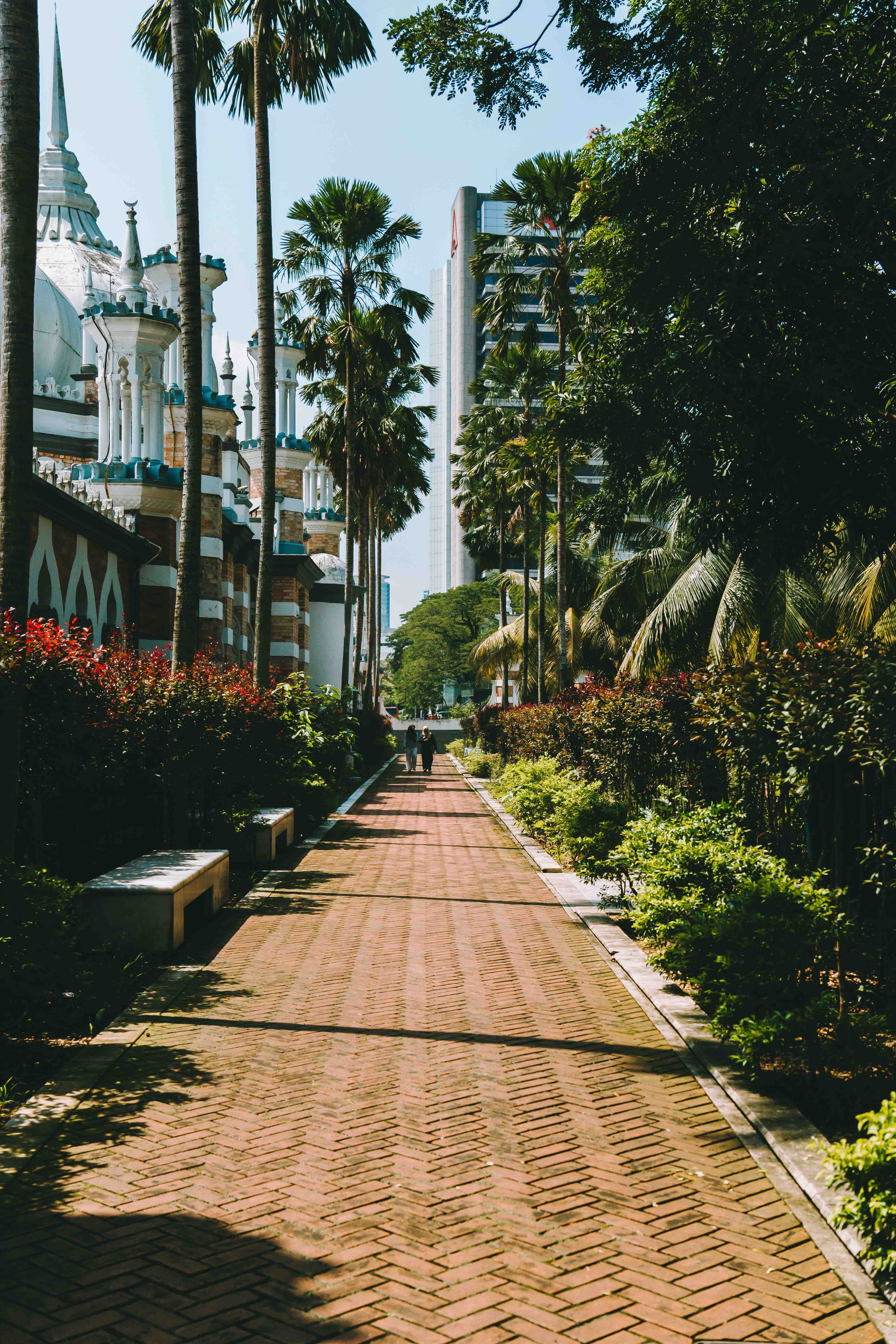 Sidewalk among Palm Trees and Shrubs