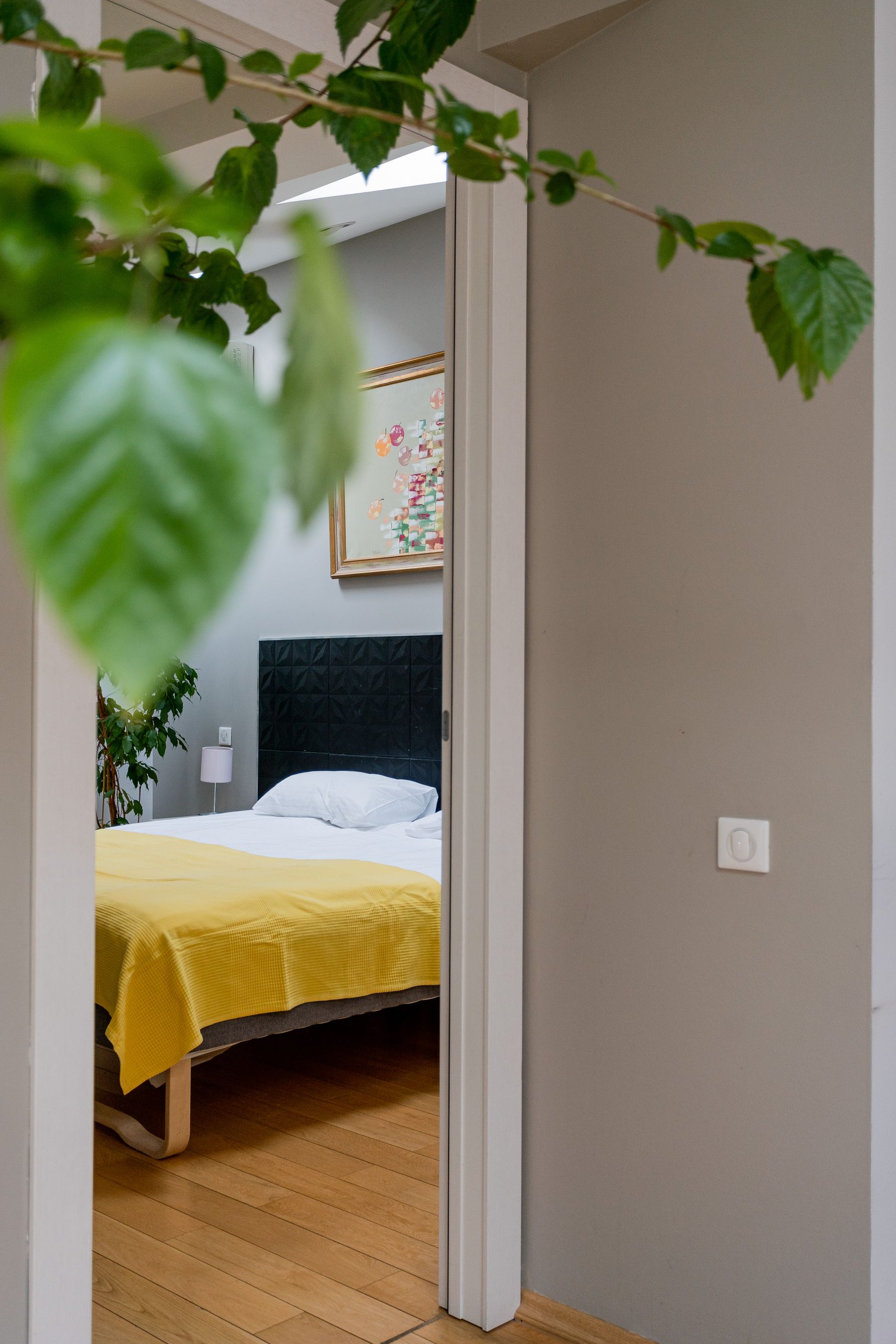 Modern bedroom with a broad yellow duvet, rust cushion, pale upholstered headboard, timber floor and green plants
