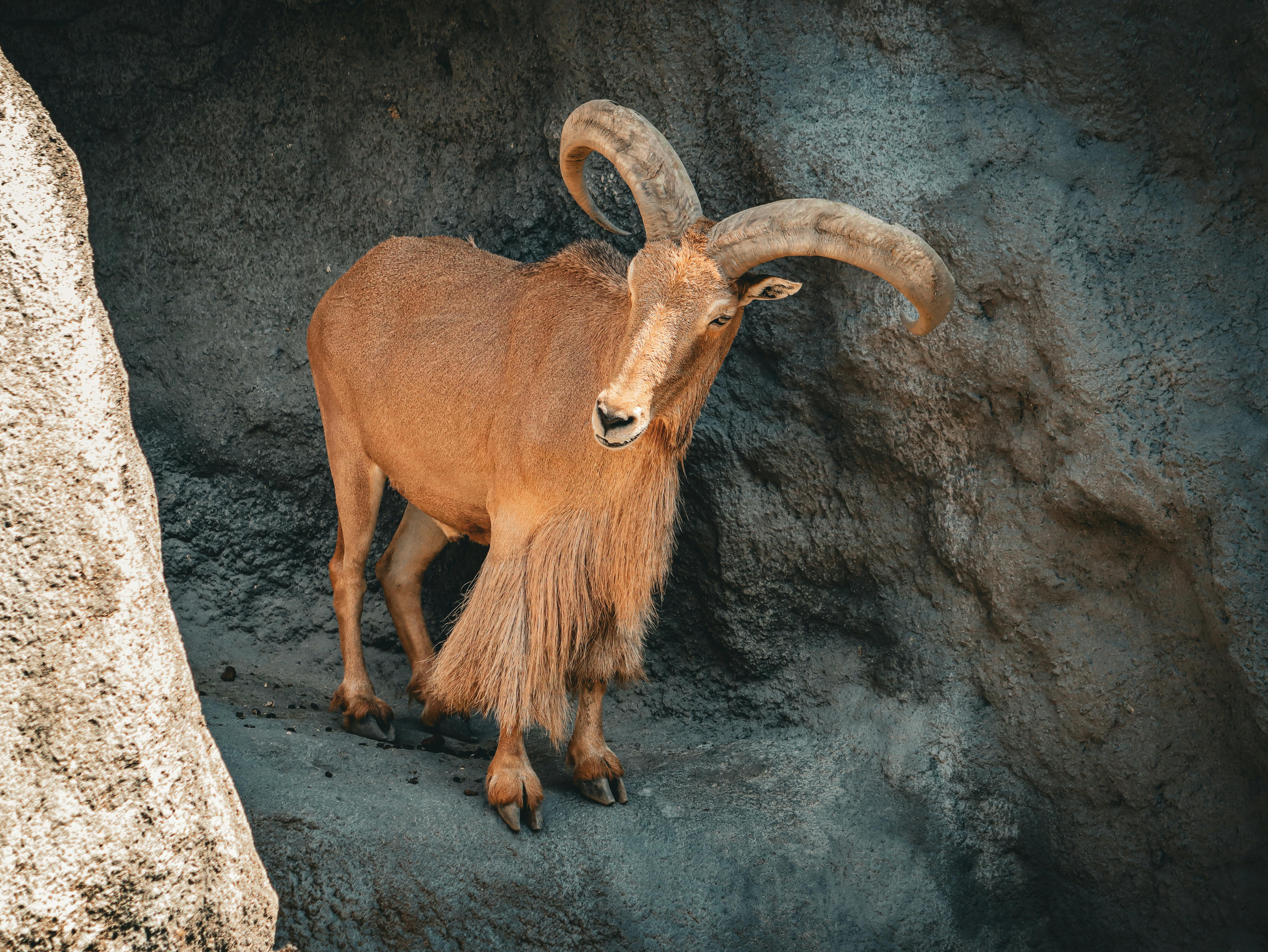 Big Horn Outdoor Adventure Show - Spokane and North Idaho community calendar - The Spokesman — Photo by Nikola Tomašić on Pex