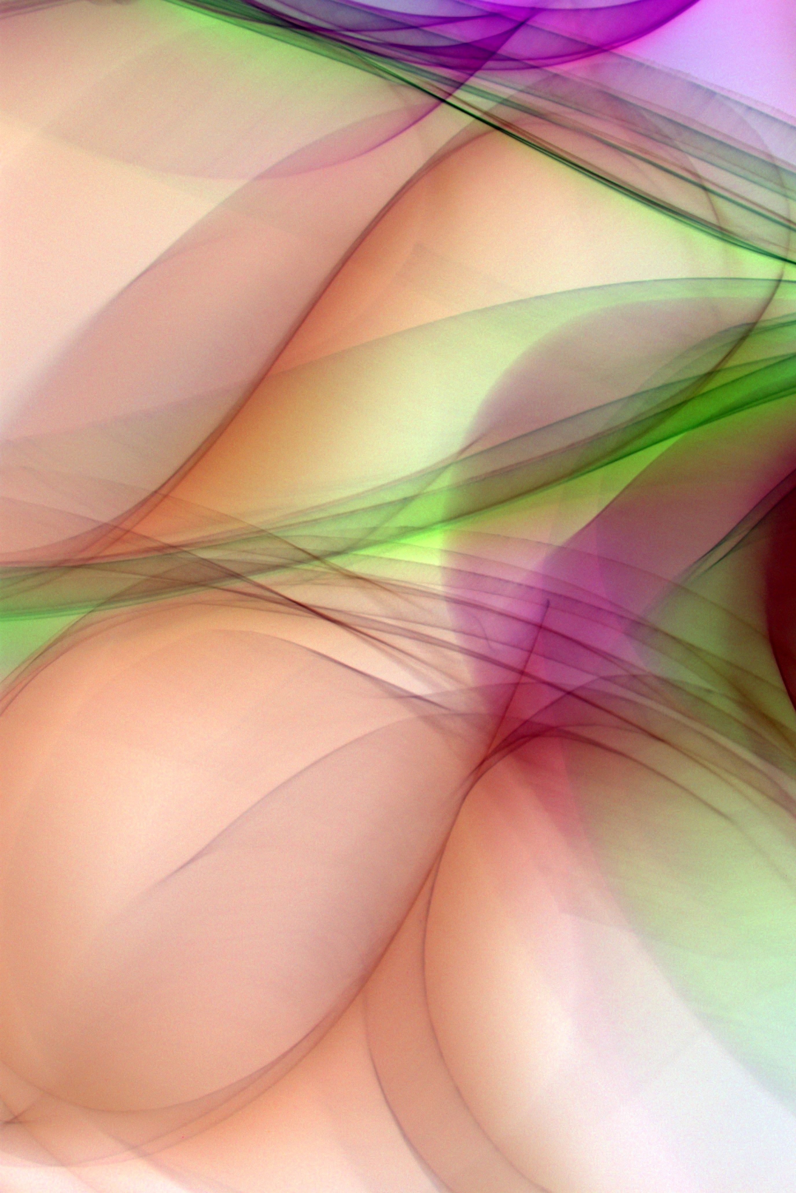Vibrant abstract design with curves and fractal patterns in peach, green, and purple.
