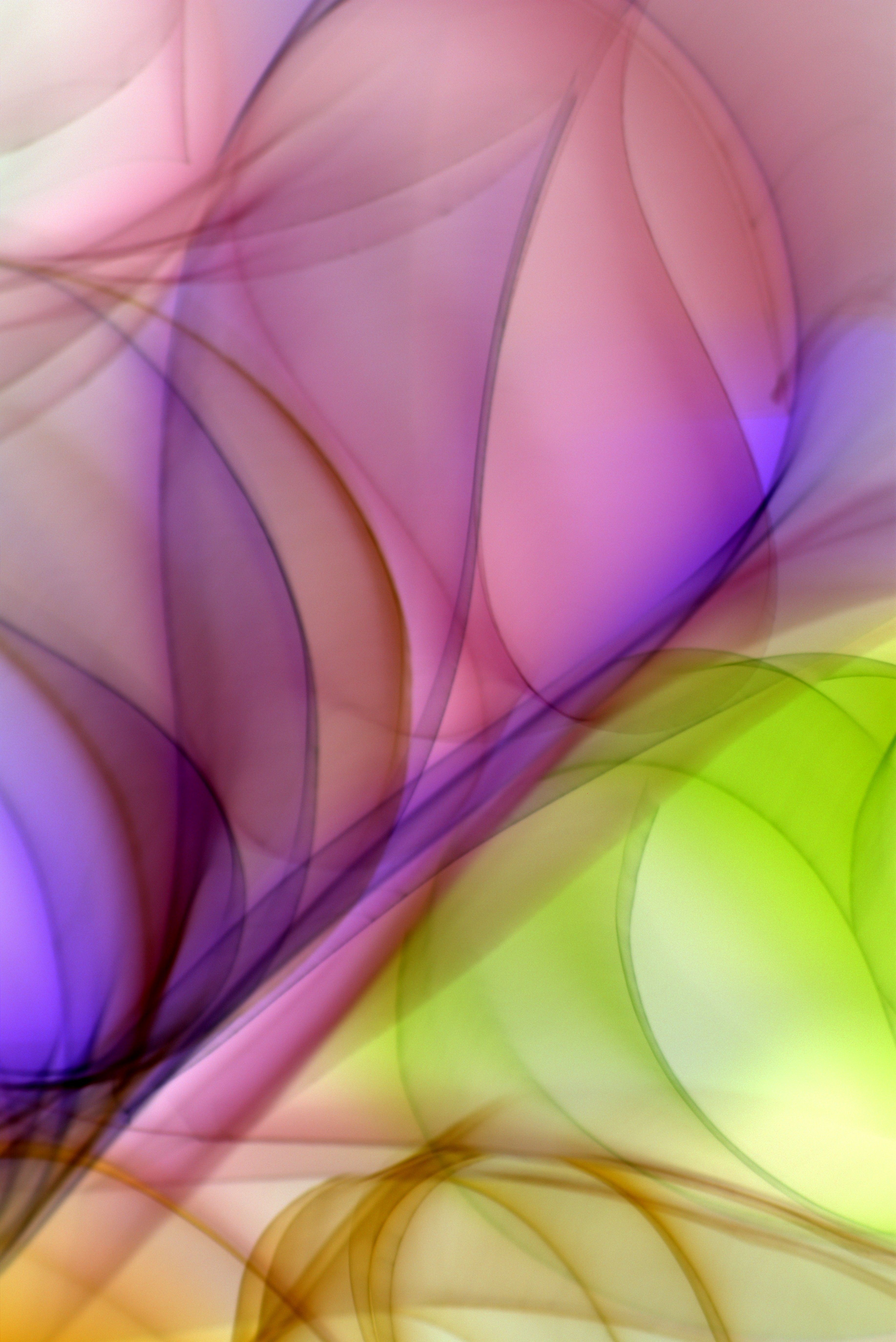 Vibrant abstract design with swirling colorful curves ideal for creative backgrounds and wallpapers.