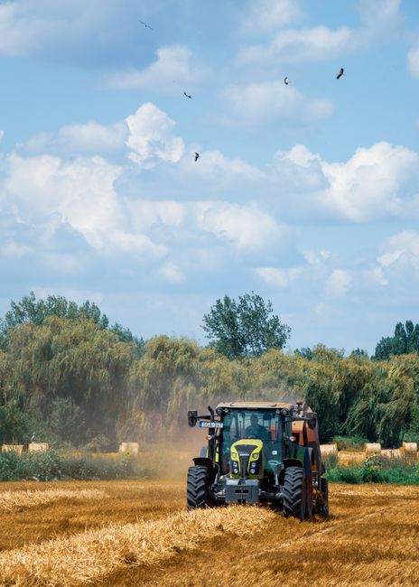 Study on the Application of CBERS in Soil Erosion Monitoring
