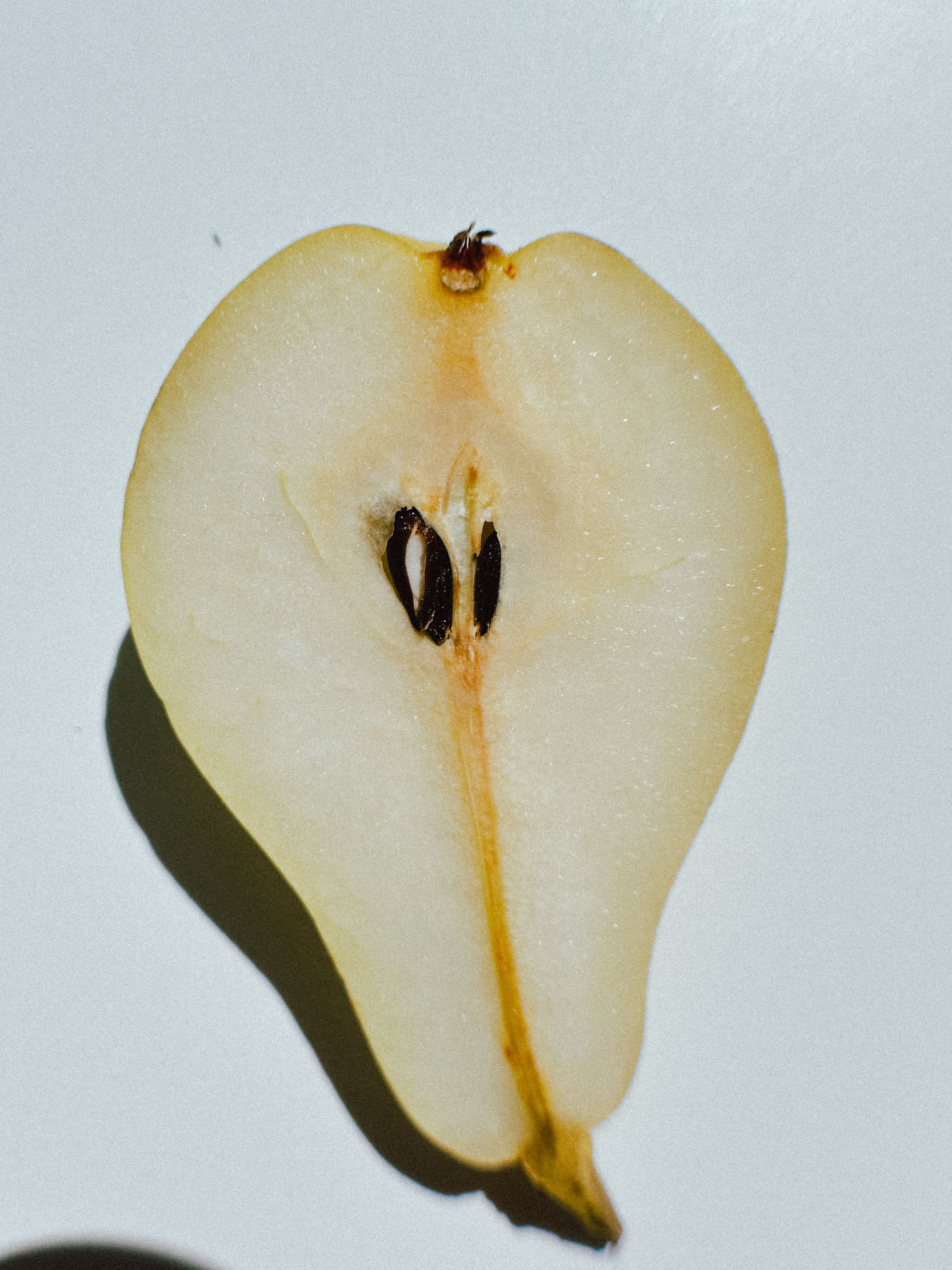 Pear Half on White Surface · Free Stock Photo