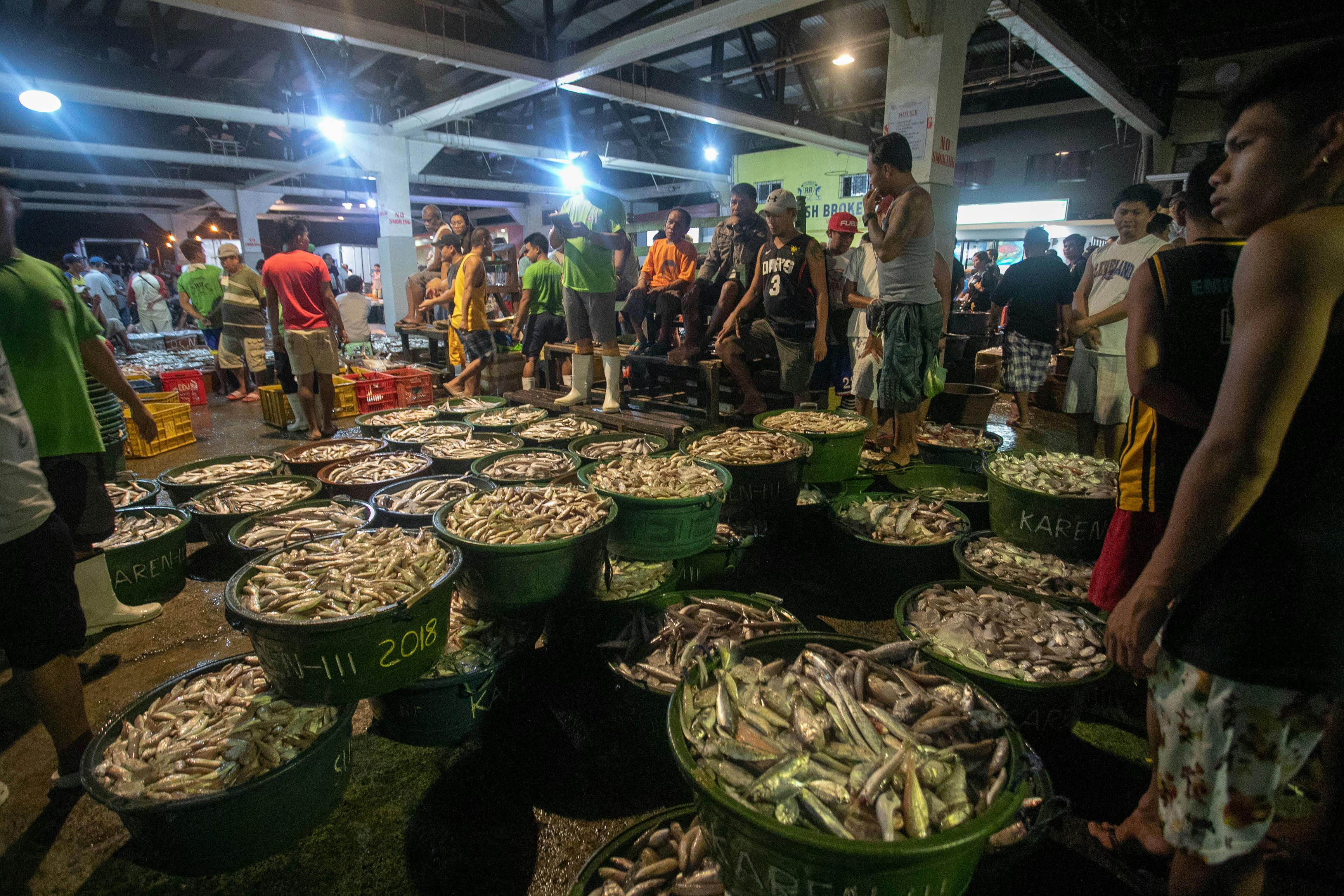 Free stock photo of fish market