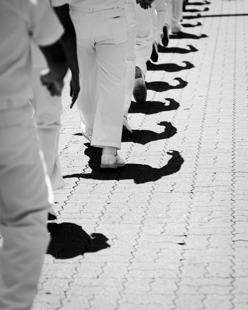 Free Black and white photo of people marching, creating striking shadows on urban pavement. Stock Photo