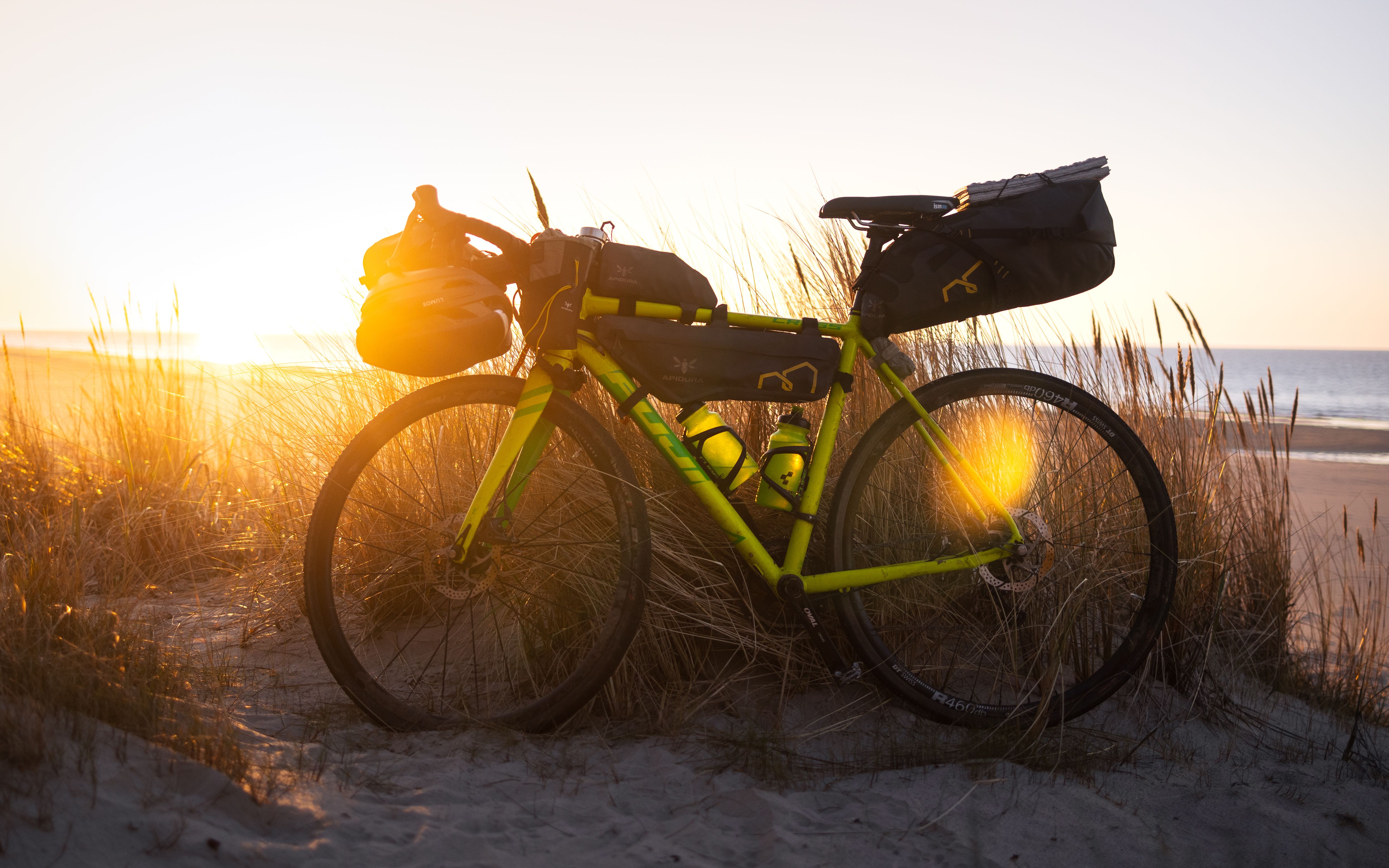 Kostnadsfria Kostnadsfri bild av apelsin, apidura, äventyr Stock foto