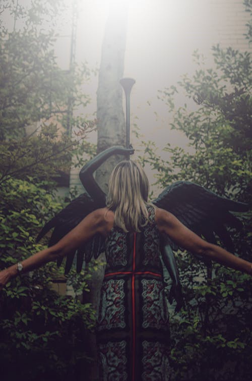 Free stock photo of angel, city park, outdoor photography