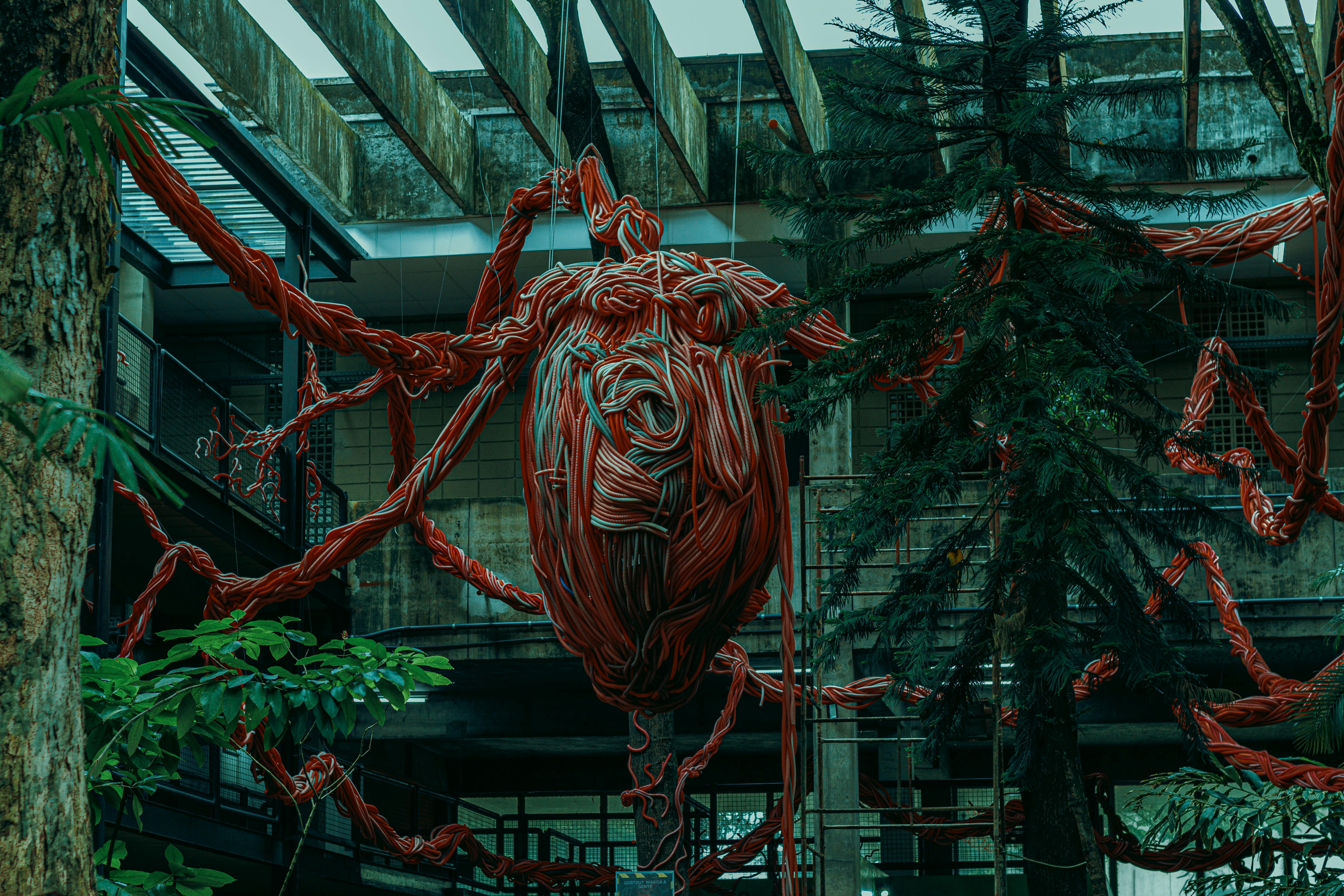 The Heart of the Matter: Purposes Unveiled