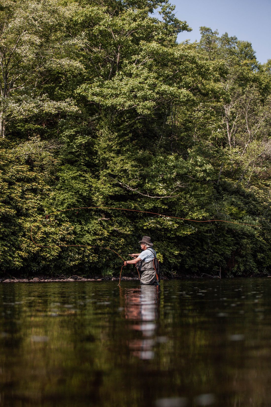 An angler in waders fly-casting on a clear forest river, orange fly line looping out behind him