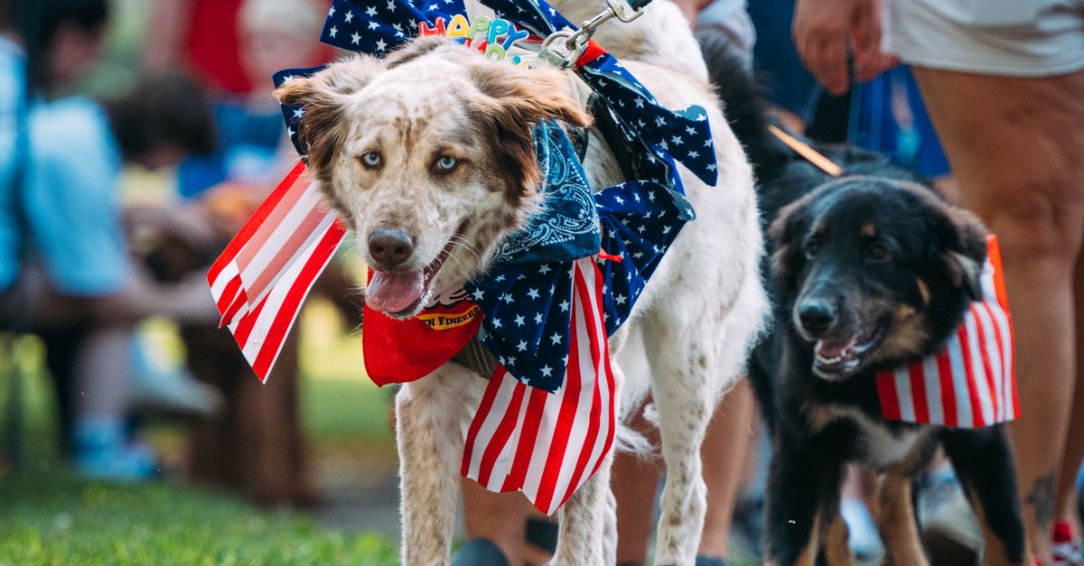 Denton's Biggest Fourth Yet: Parade, Fireworks, and a Drone Show Mark the Nation's 250th